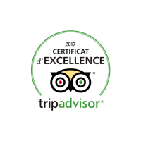 tripadvisor